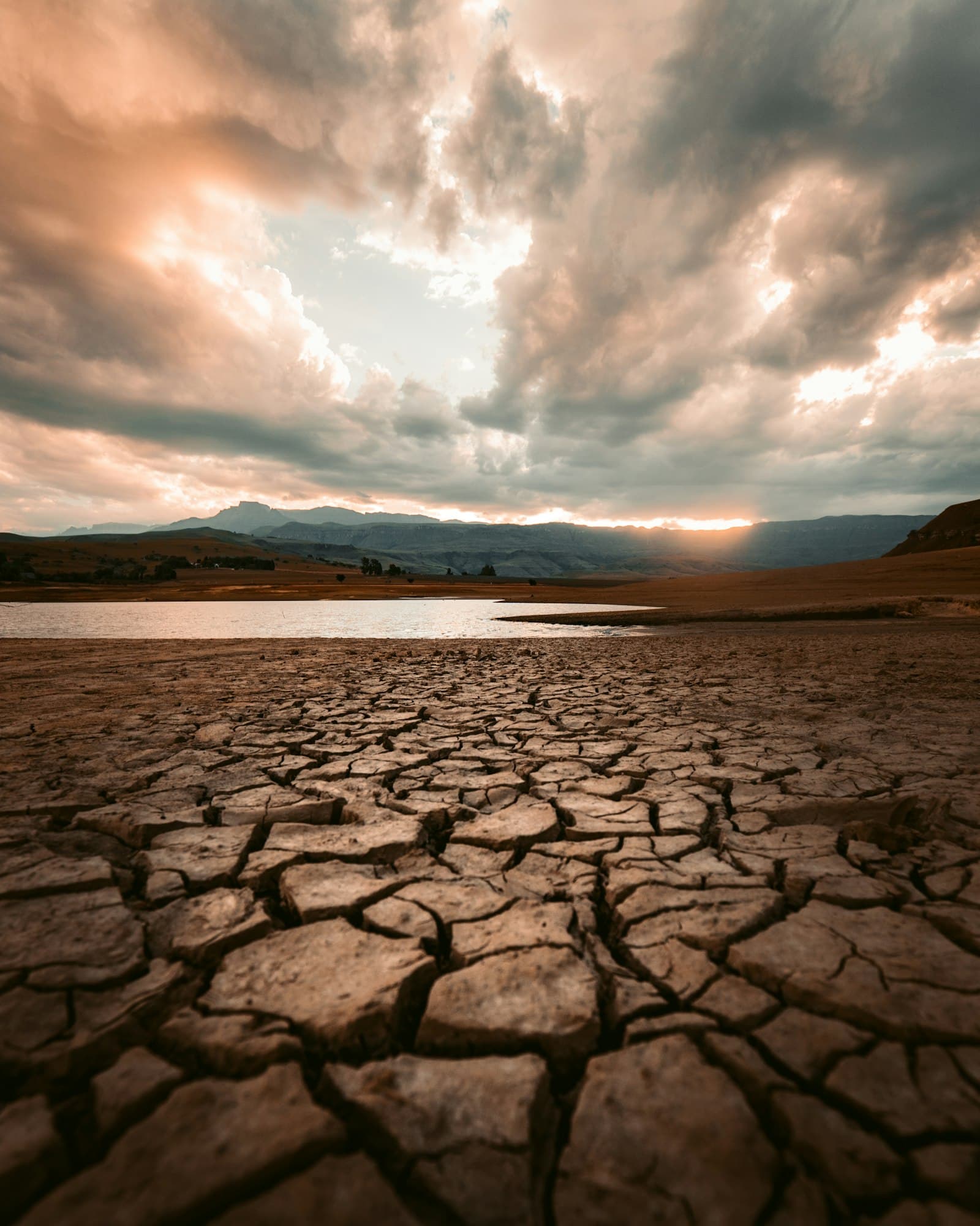 Dry, cracked earth in warm light