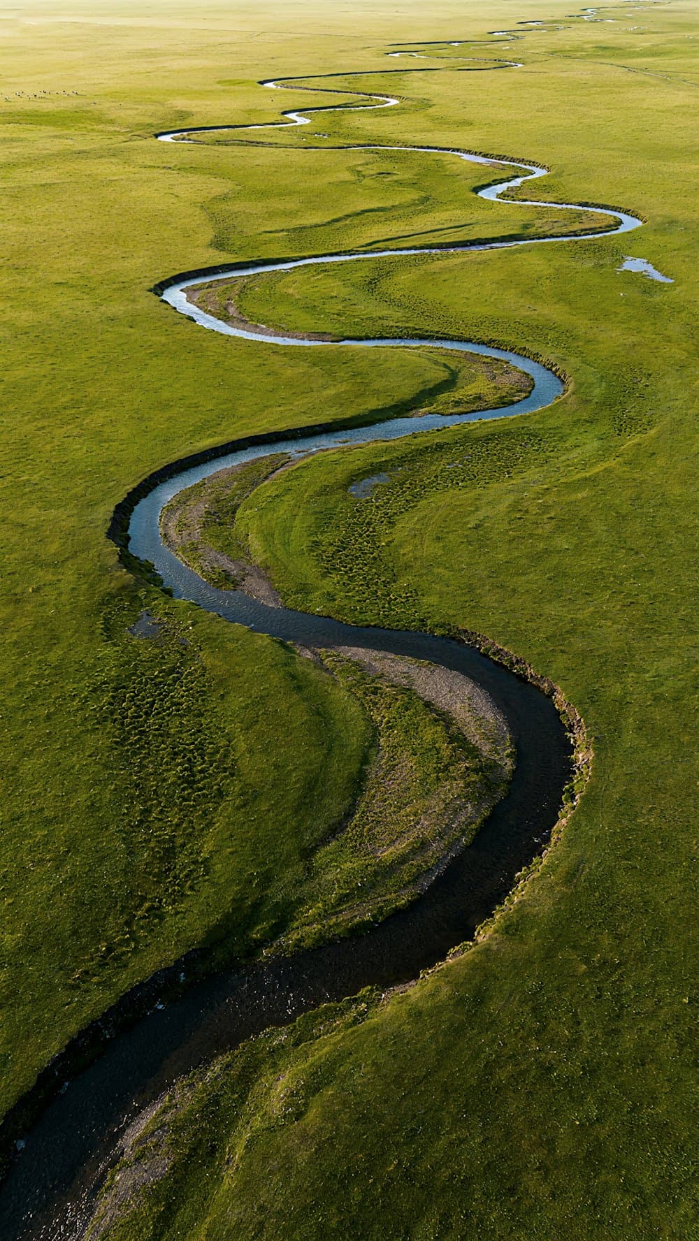 A river winding freely through a green meadow, seen from above